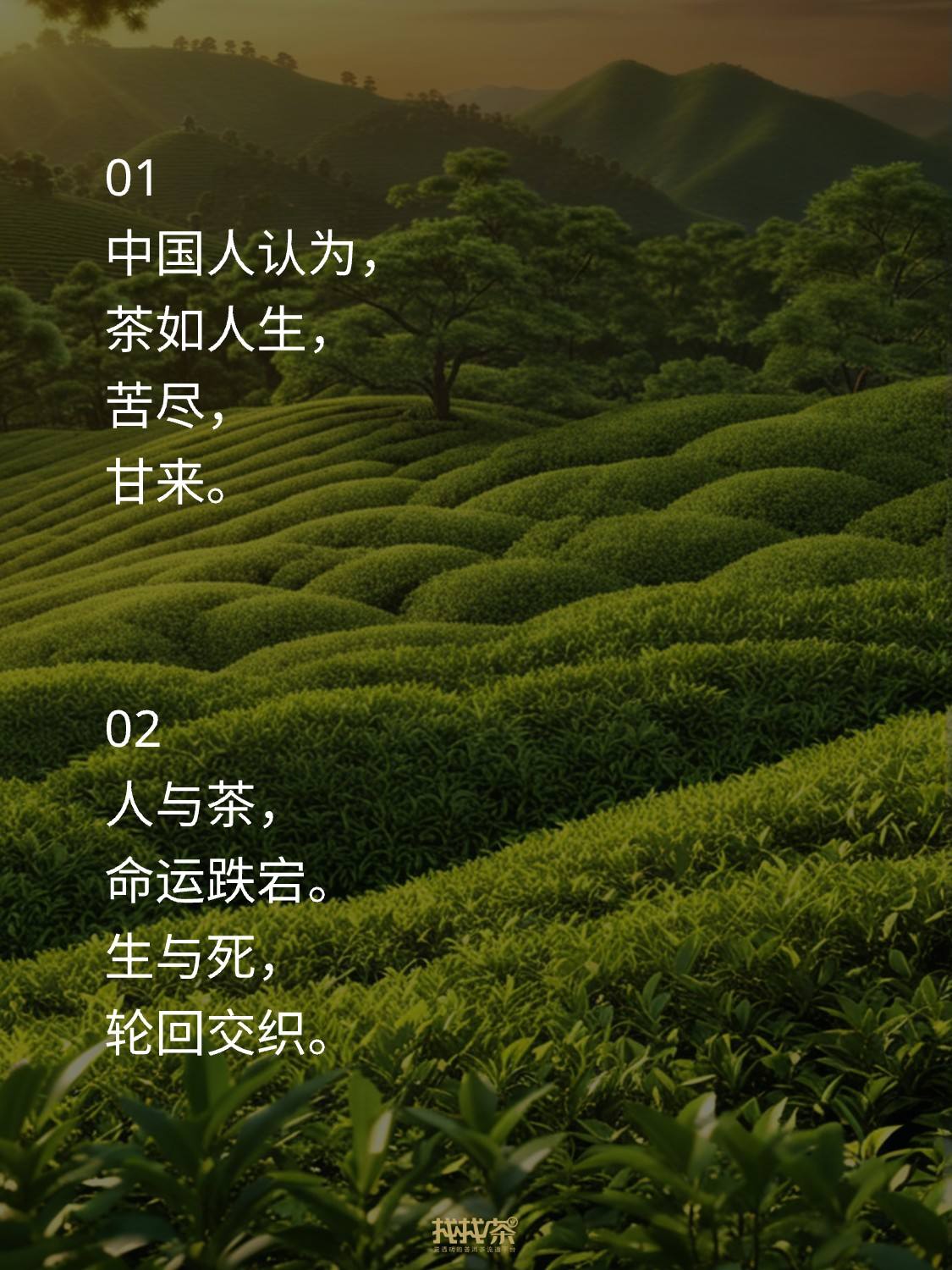 圈子图片