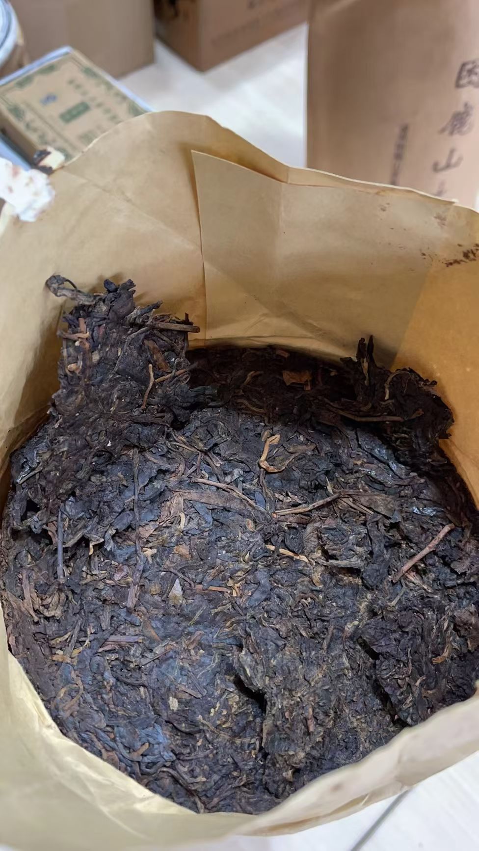 05年困鹿山大茶柱 8kg/根配图9