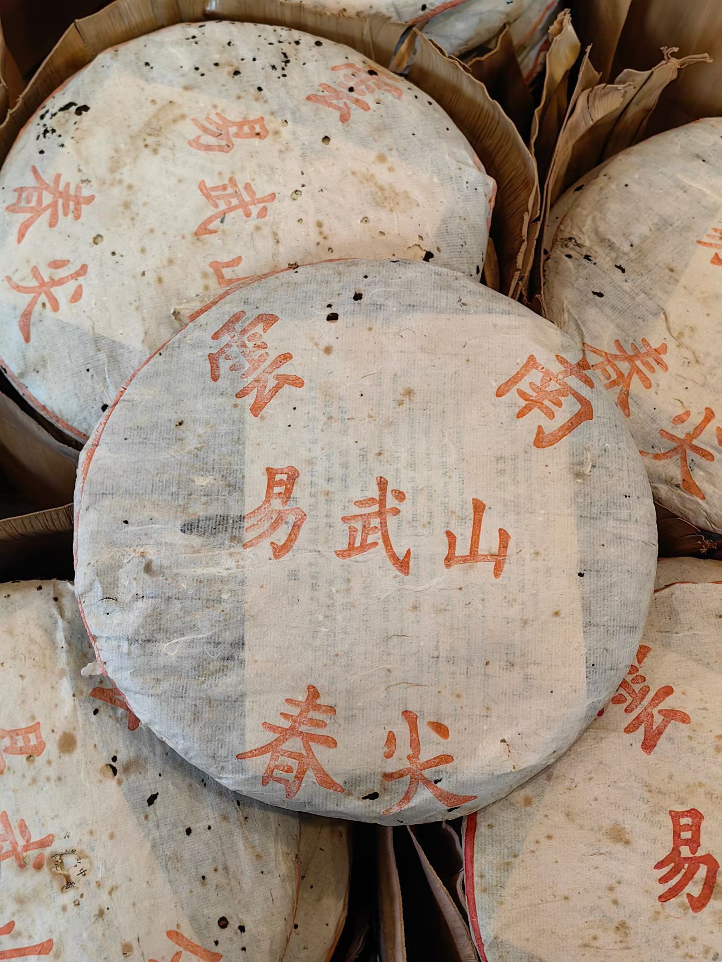 好茶推荐配图1