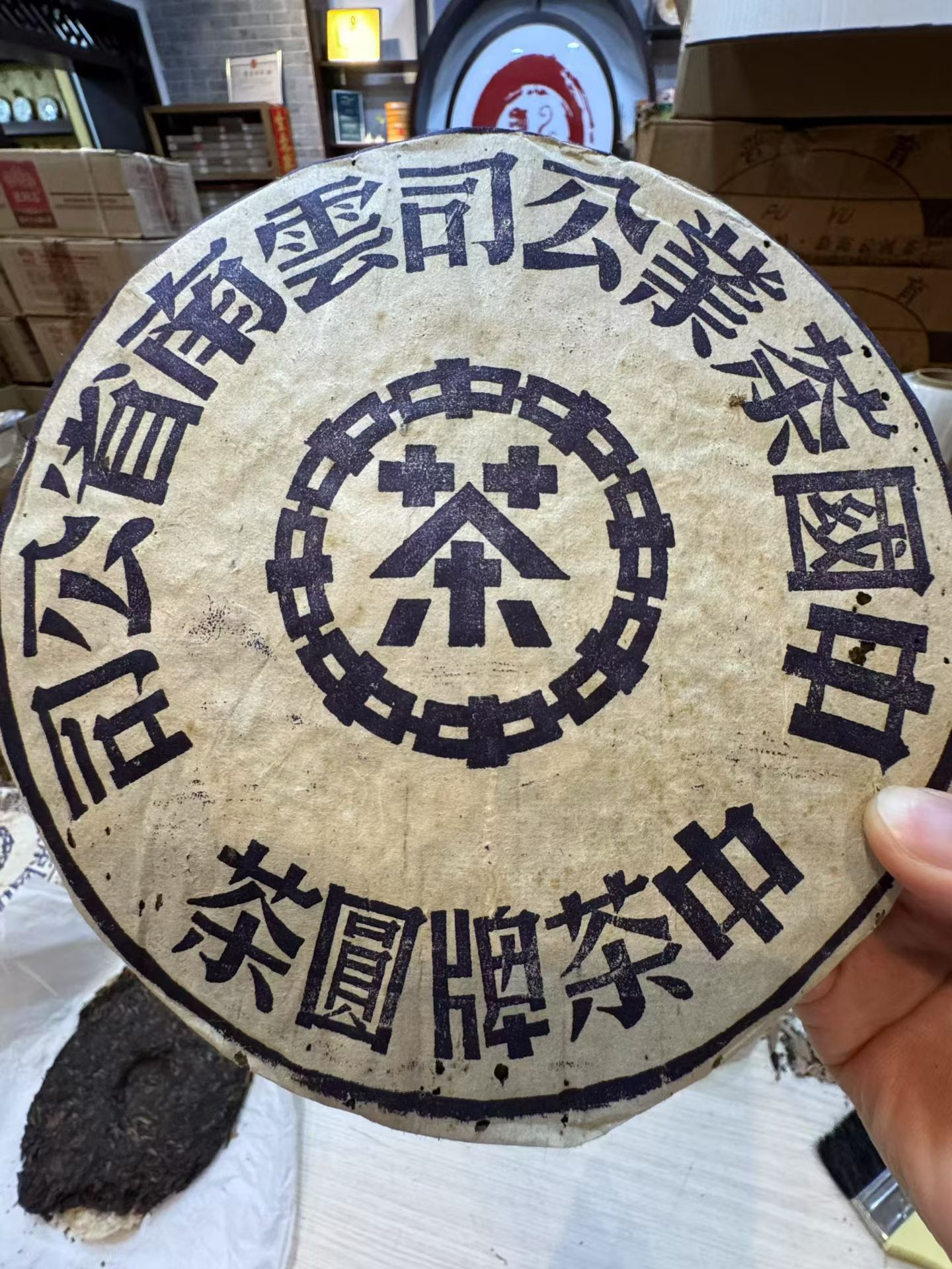 1999年鬼面蓝配图2