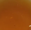 第2泡茶图片1
