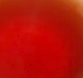 第2泡茶图片1