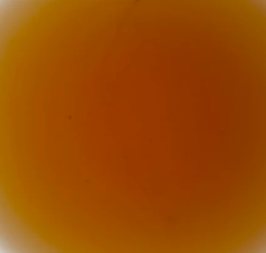 第2泡茶图片1