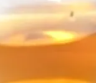 第2泡茶图片1