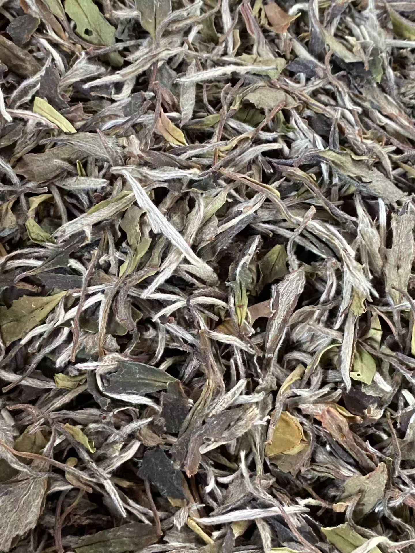 16花香牡丹茶品图