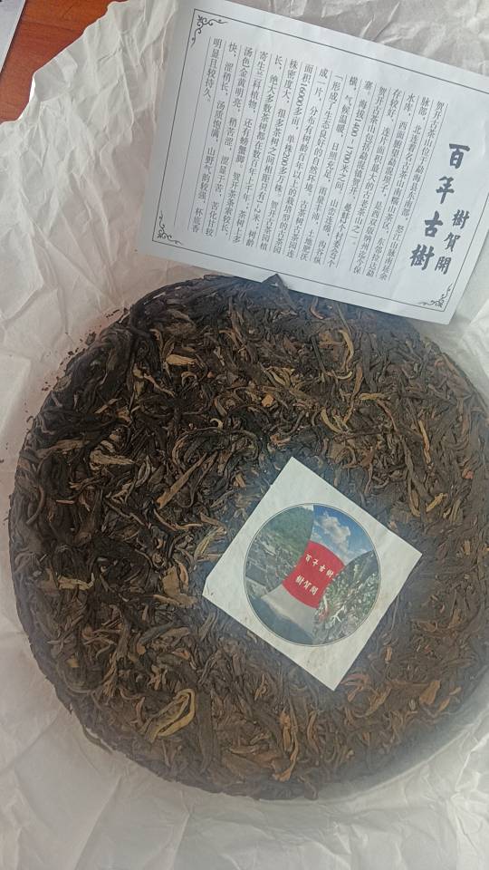云南生普茶品图