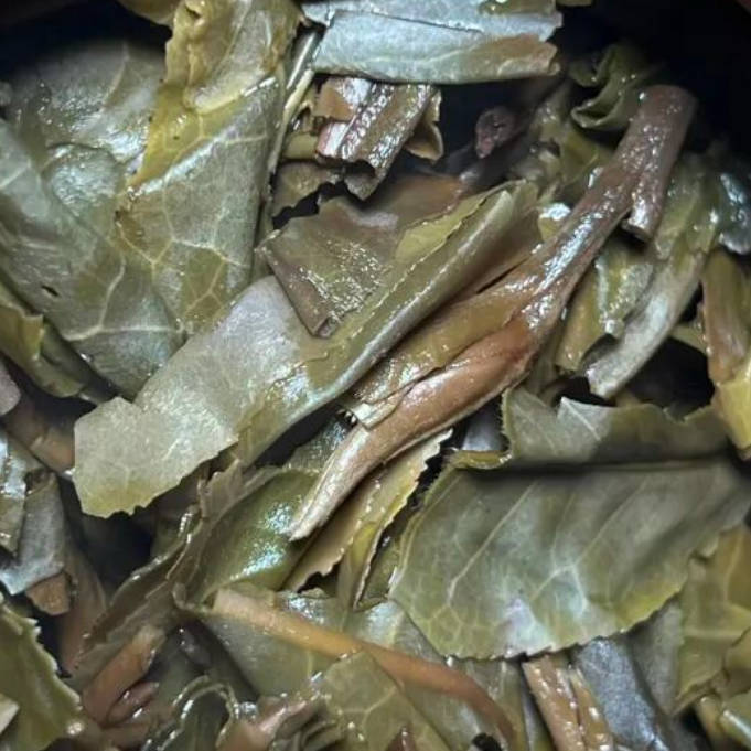 茶底信息图片1