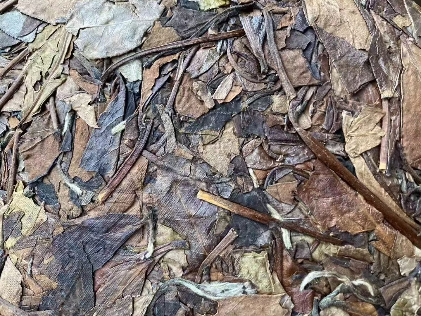 98年老枞白茶/上觉配图3