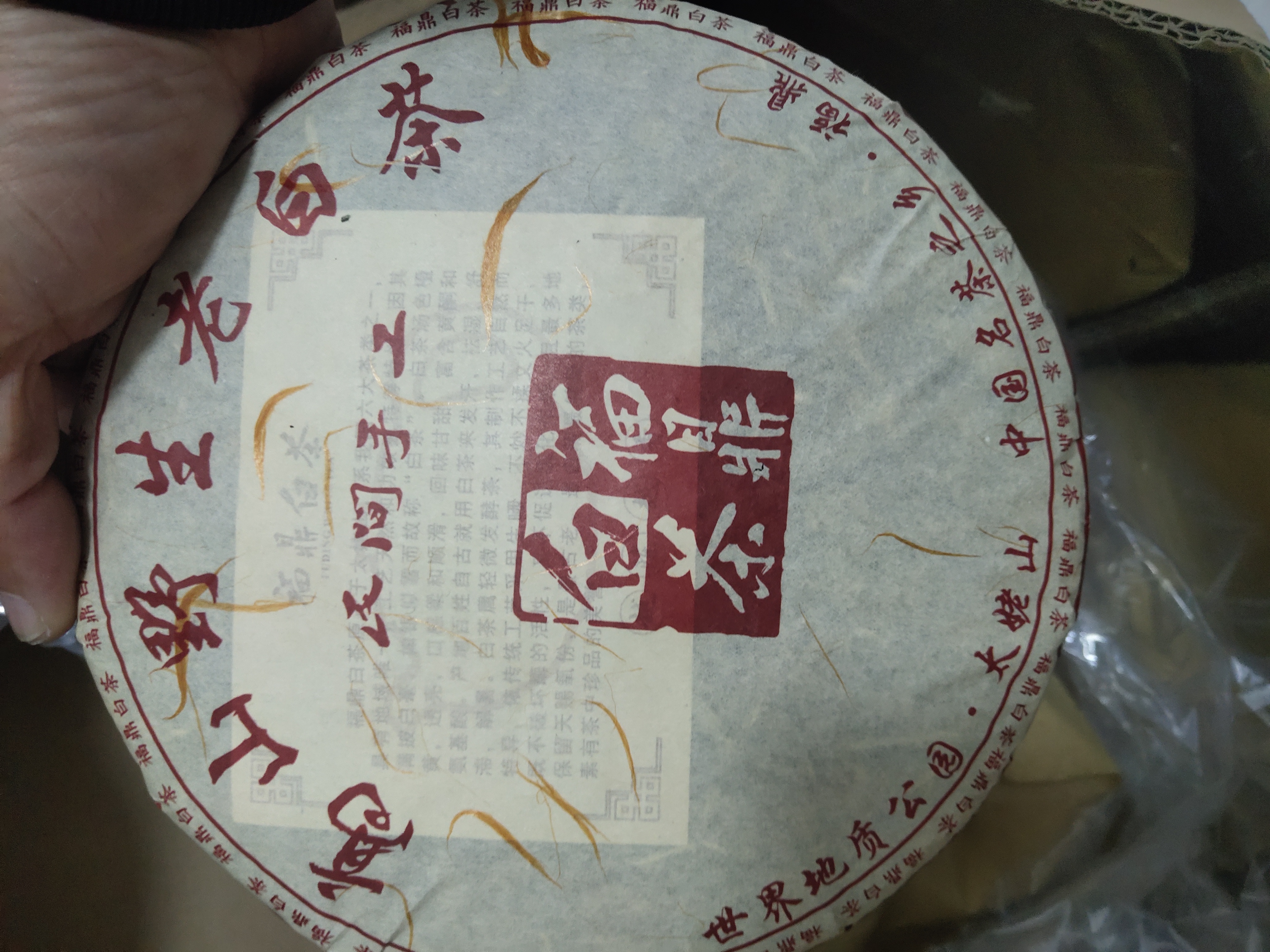 福鼎白茶茶品图