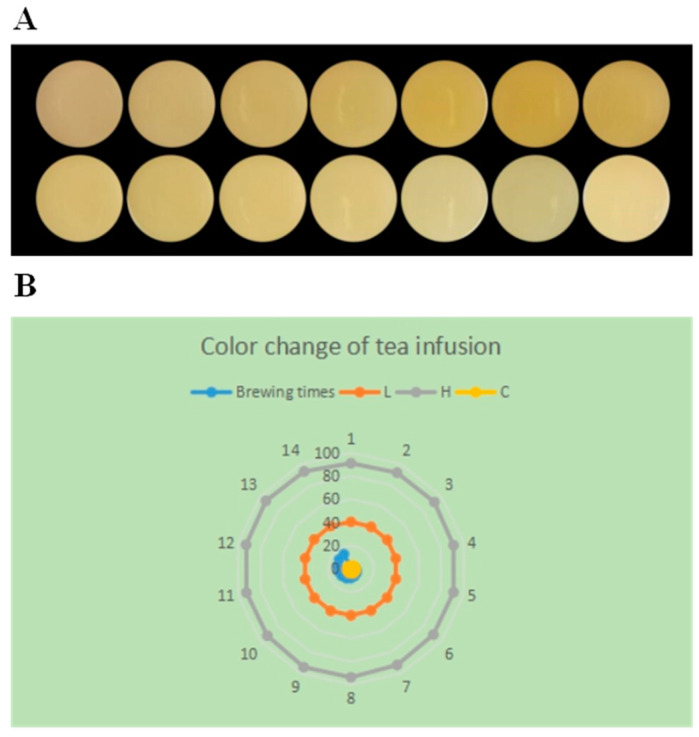 Dynamic Changes in Sensory Quality and Chemical Components of Bingdao Ancient Tr