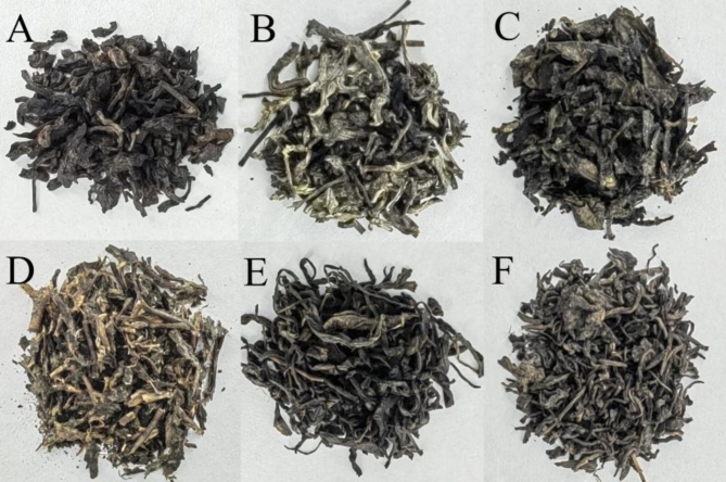 Fungal community composition and function in different Chinese post-fermented te