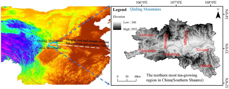 Determination of Geographical Origin of Southern Shaanxi Congou Black Teas Using