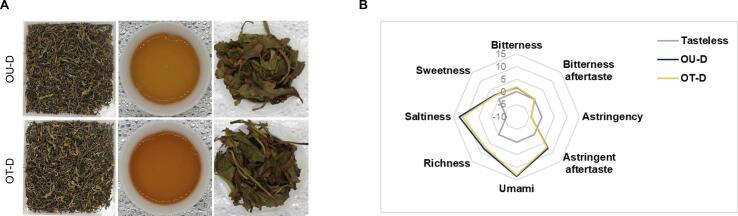 Preliminary tossing post-harvest: Unraveling its role in aroma enhancement of la