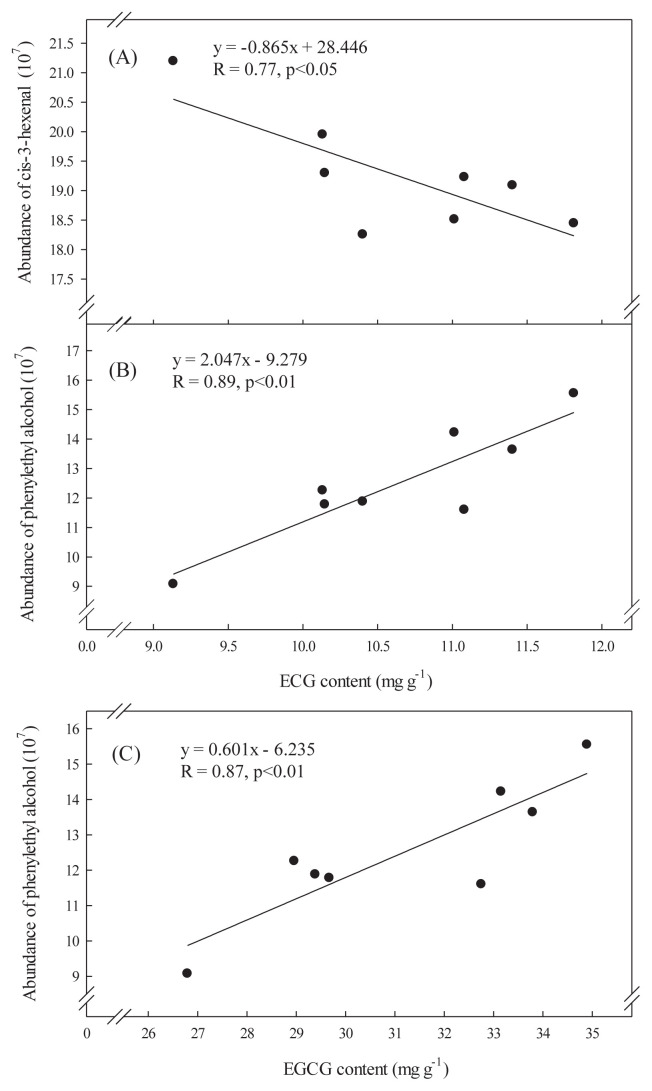 Effect of shaking process on correlations between catechins and volatiles in ool