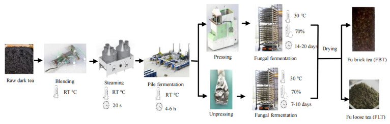 Effect of Pressing Process on Metabolomics Profiling and Sensory Properties: A C