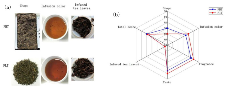 Effect of Pressing Process on Metabolomics Profiling and Sensory Properties: A C