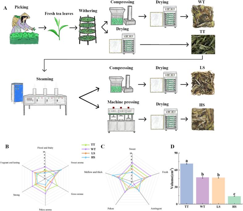 Impact of compression methods on flavor profile of white tea: Integrated analysi
