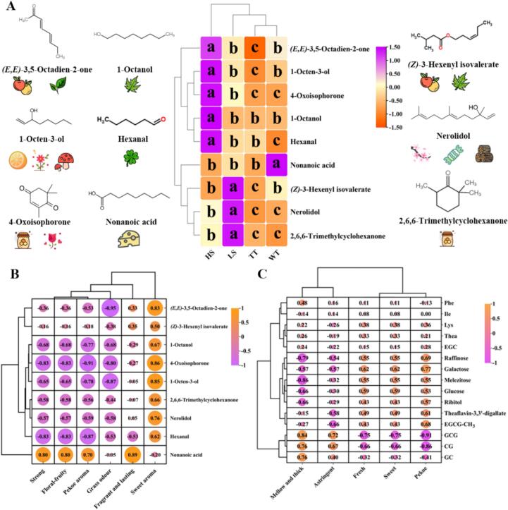Impact of compression methods on flavor profile of white tea: Integrated analysi