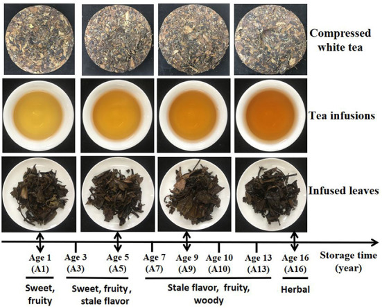 Identification of characteristic aroma and bacteria related to aroma evolution d