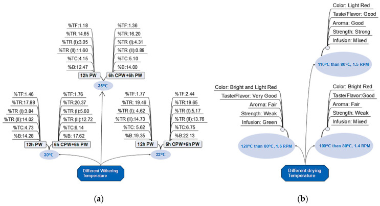 Tea Harvesting and Processing Techniques and Its Effect on Phytochemical Profile