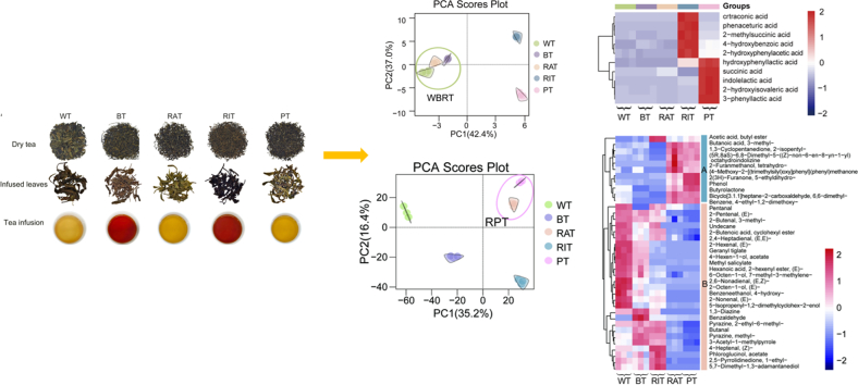 Impact of processing techniques on chemical compositions and sensory attributes 