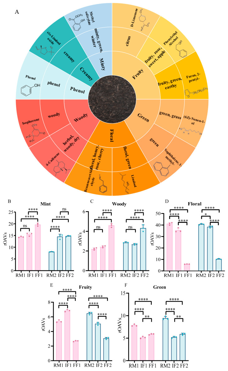Dynamic Evolution of Aroma Characteristics in Ripened Pu-Erh Tea During Industri