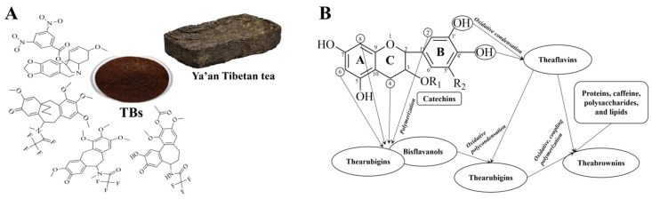 The Preventive Effect of Theabrownin from Ya'an Tibetan Tea Against UVB-Induced 