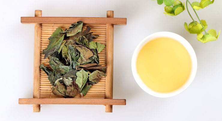 白牡丹干茶与茶汤