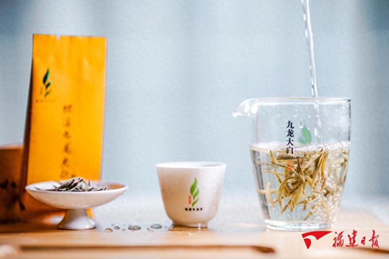 白茶芽叶与茶汤