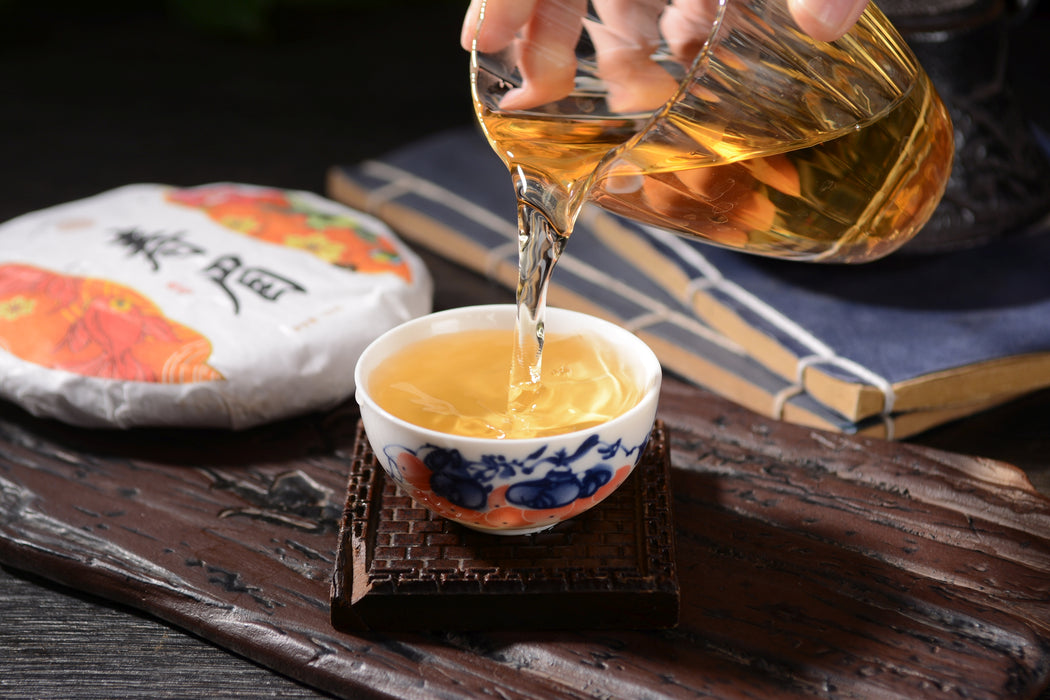 紧压白茶茶饼与茶汤