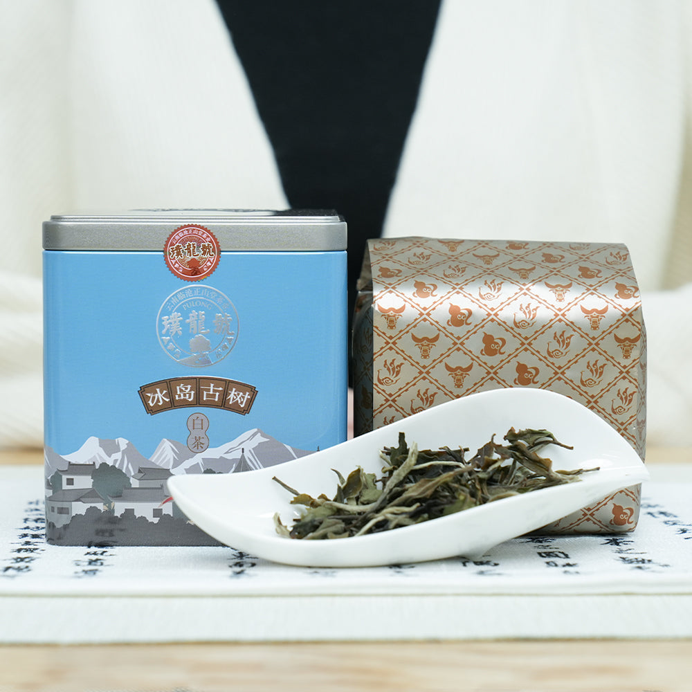 云南大叶种茶叶实拍