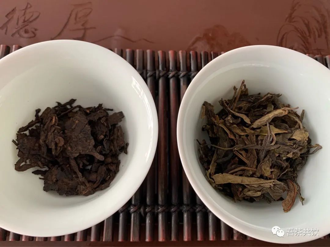 普洱生茶与熟茶干茶实拍