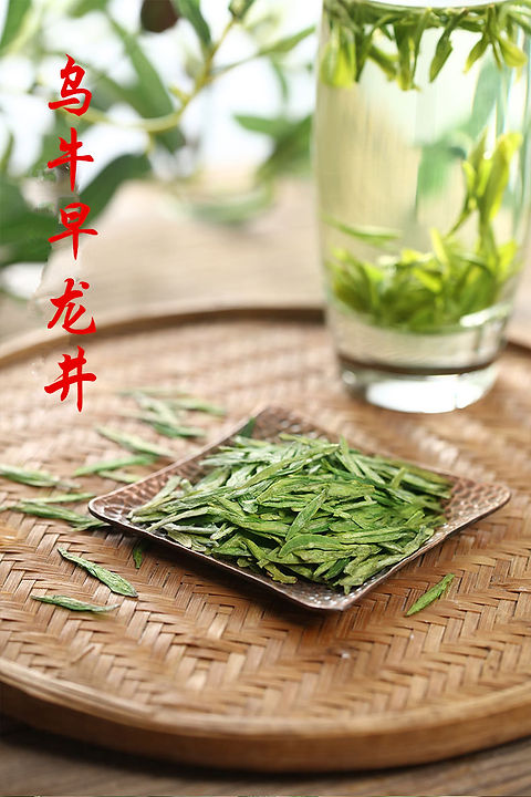 茶树鲜叶与绿茶干茶（品种对照）