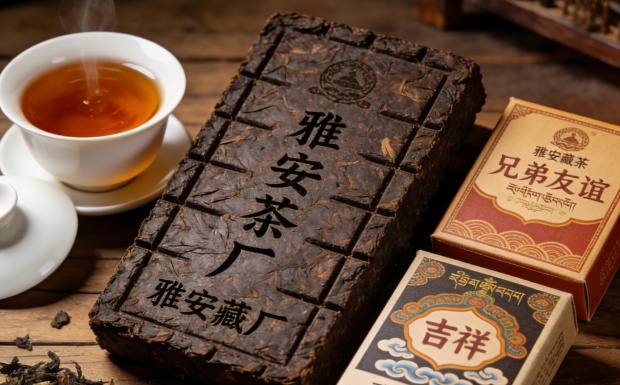 雅安藏茶茶砖与茶汤