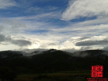 布朗山村寨与茶园实拍画面