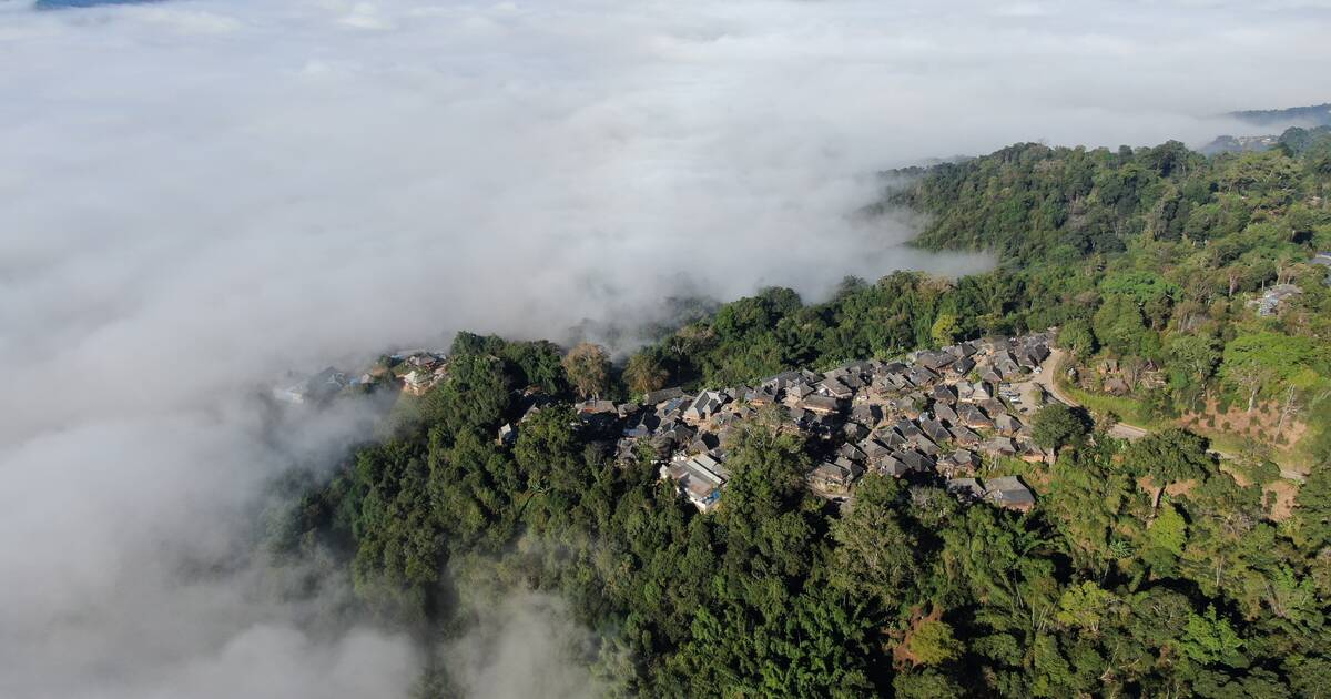 景迈山古茶林文化景观茶园航拍全景实拍