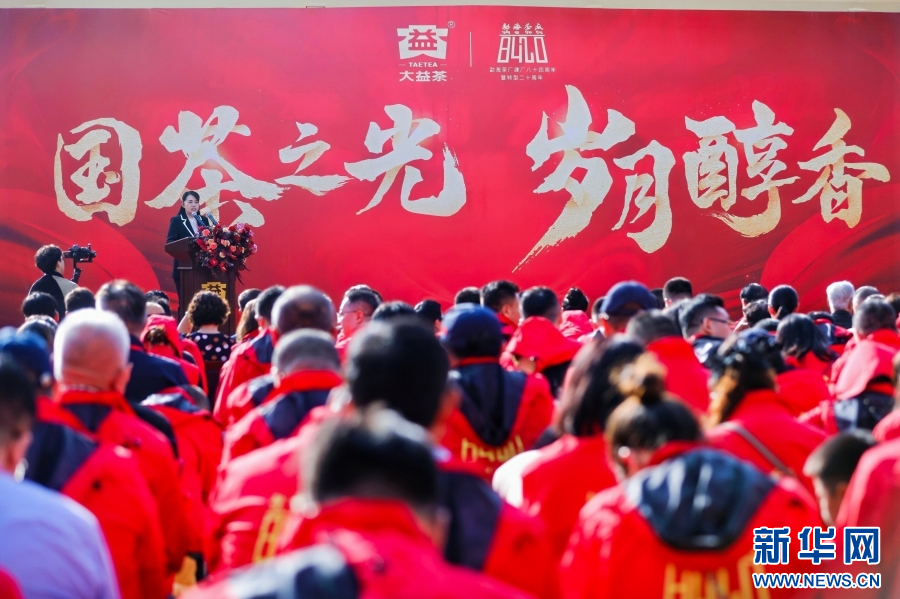大益集团勐海茶厂84周年庆典现场展示的茶礼包装