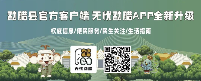 革登茶山山地茶园