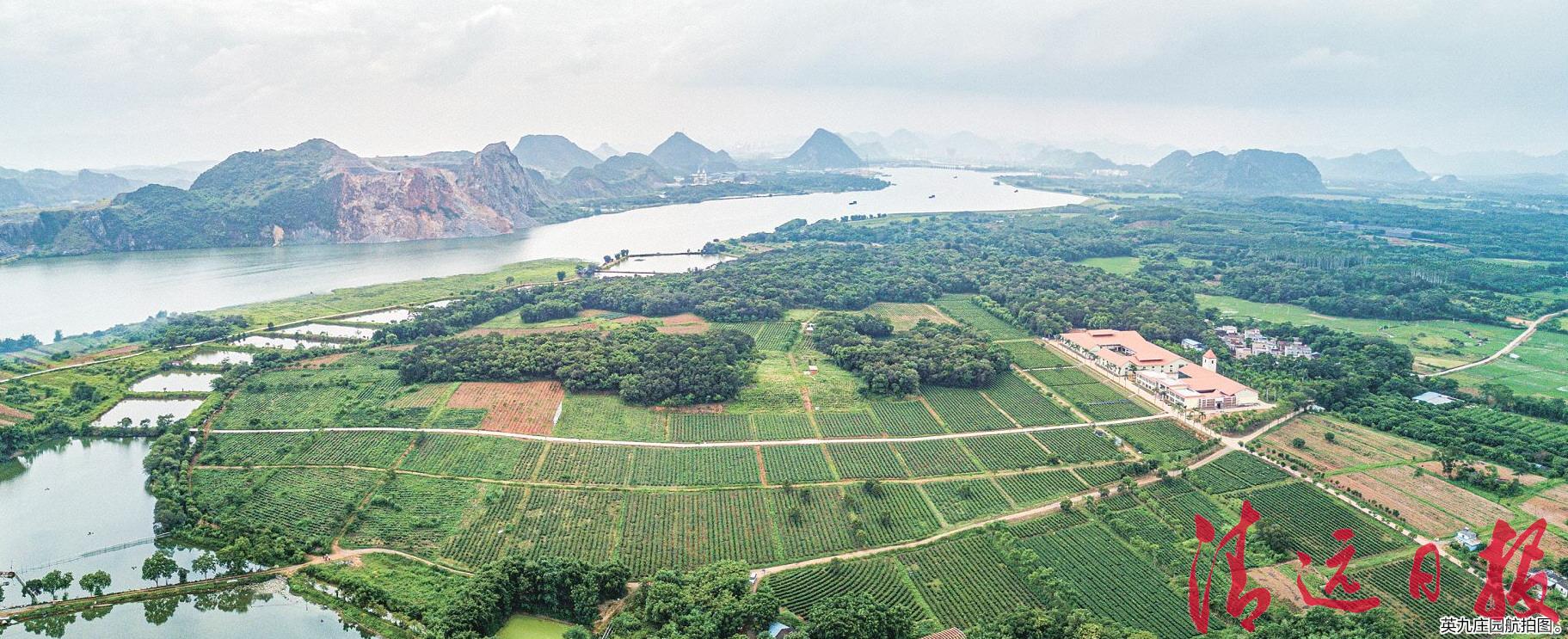 英九庄园茶园与厂房临江北岸航拍全景
