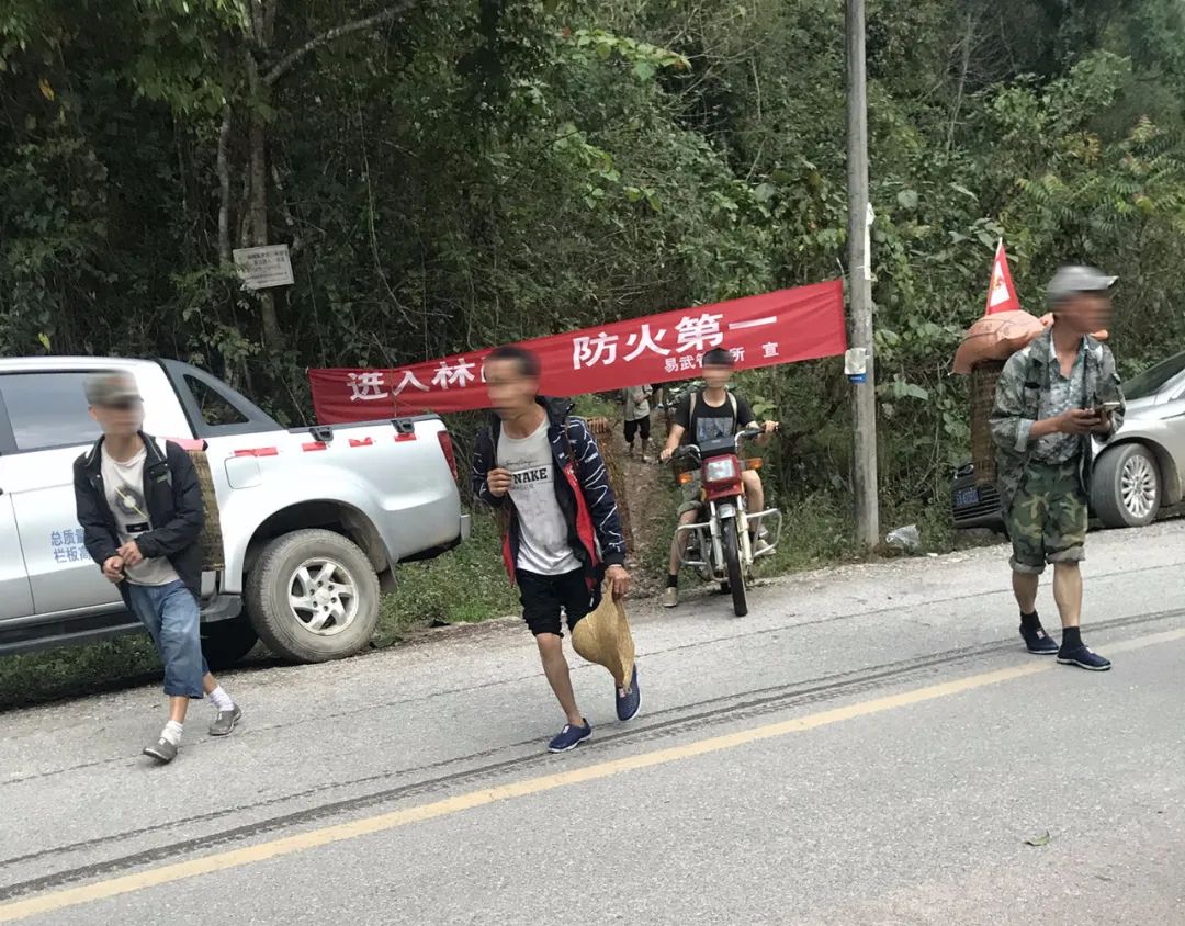 航拍铜箐河茶园与穿行其间的溪流