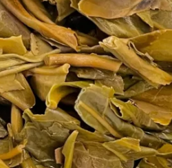 茶底信息图片1