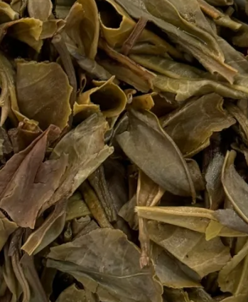 茶底信息图片1