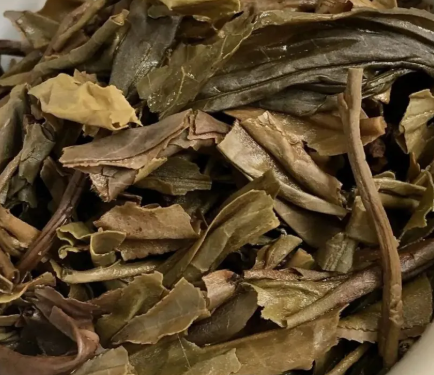 茶底信息图片1