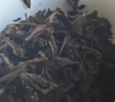 茶底信息图片1