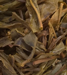 茶底信息图片1