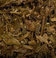 茶底信息图片1