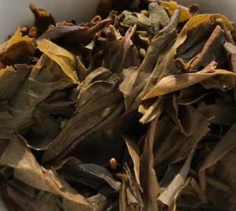 茶底信息图片1