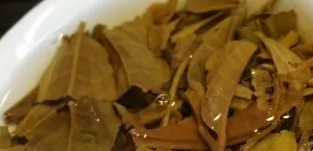 茶底信息图片1