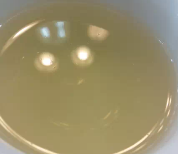 茶底信息图片1