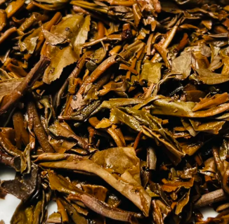 茶底信息图片1